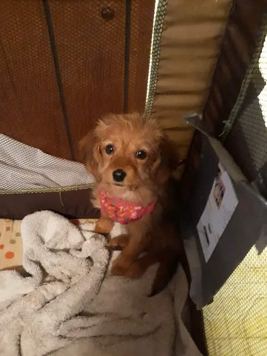 Taylor Veterinary Clinic Picture 10