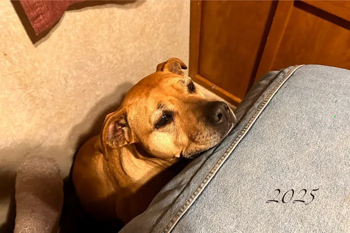 54 Veterinary Clinic Picture 3