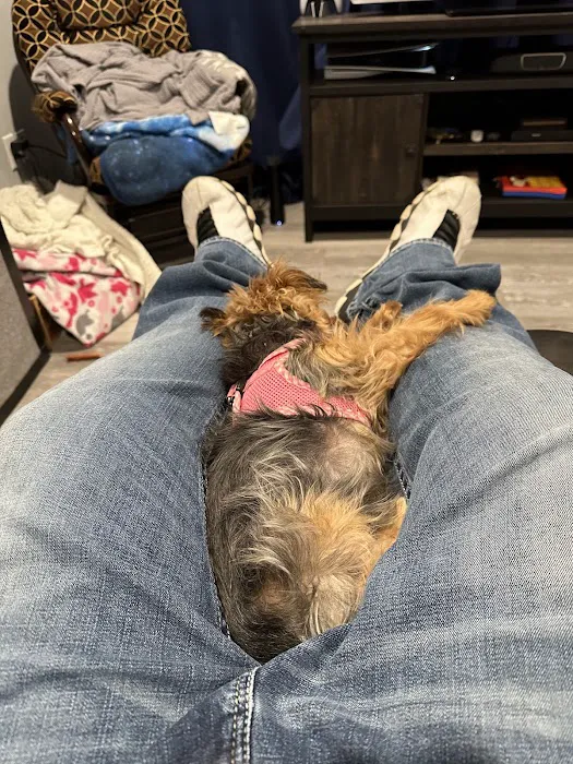 54 Veterinary Clinic Picture 2