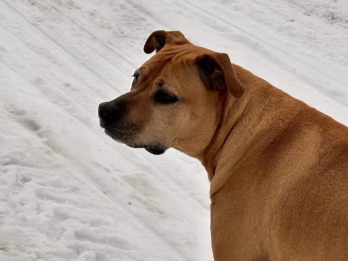 54 Veterinary Clinic Picture 5