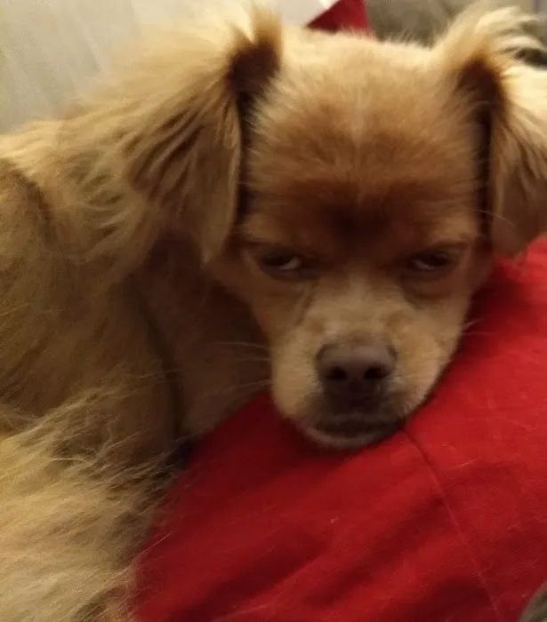 54 Veterinary Clinic Picture 7