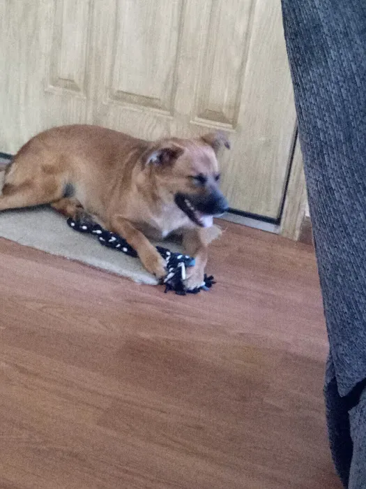 Animal Care Center Picture 5