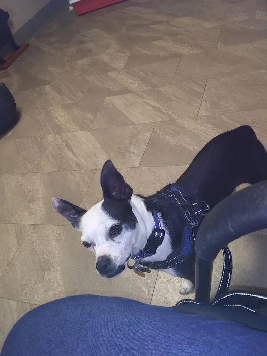 Animal Care Center Picture 6