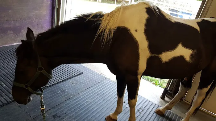 Animal Care Center Picture 3