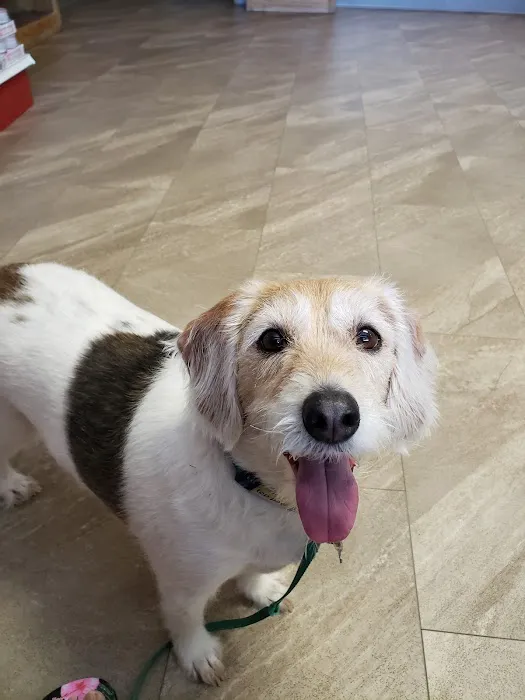 Animal Care Center Picture 1