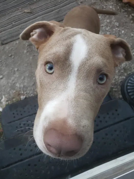 Animal Care Center Picture 2