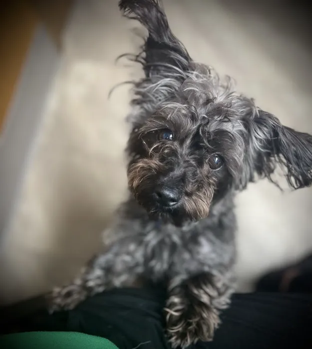 Animal Care Center Picture 9