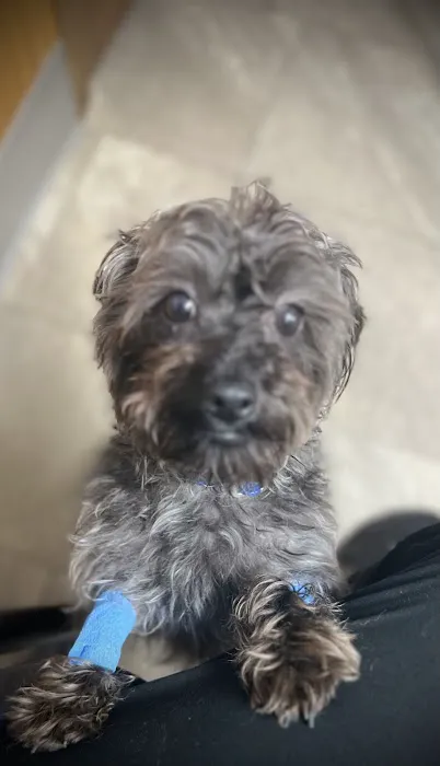 Animal Care Center Picture 7