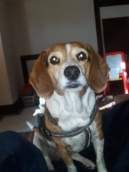 Animal Care Center Picture 8