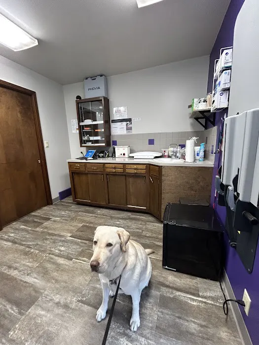 Mill Creek Veterinary Clinic Picture 3