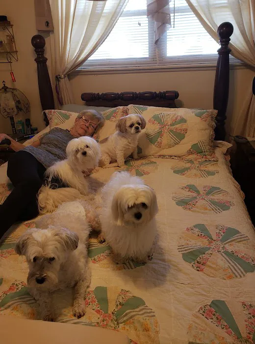 All Creatures Animal Hospital Picture 7