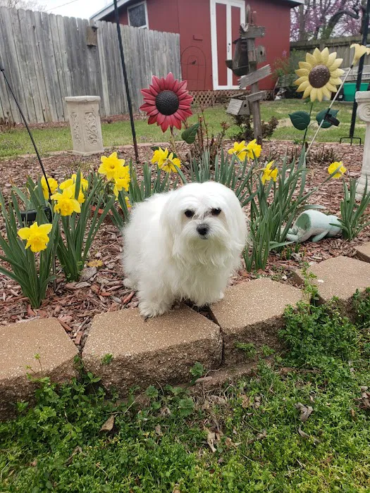 All Creatures Animal Hospital Picture 6