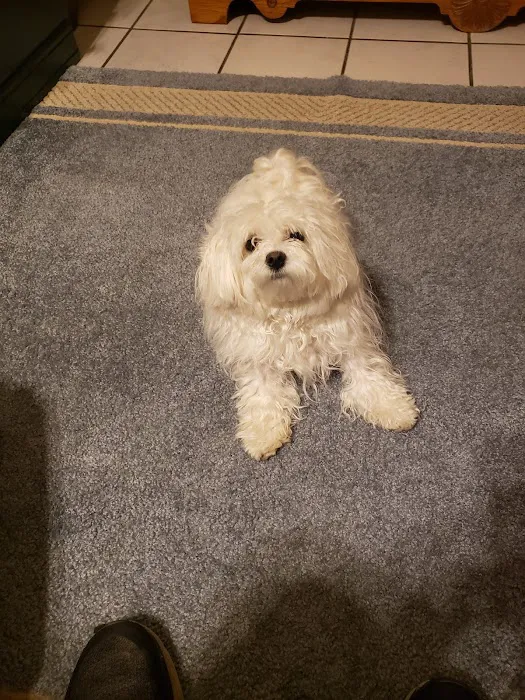 All Creatures Animal Hospital Picture 9