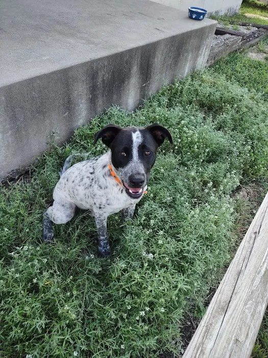 Coffey County Veterinary Services Picture 1