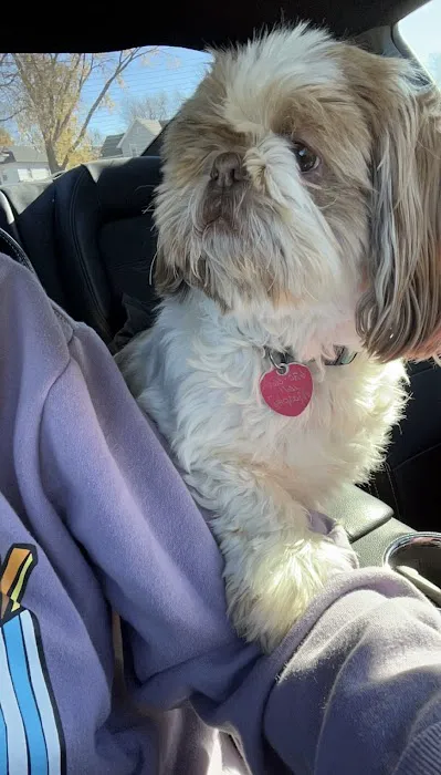 Coffey County Veterinary Services Picture 2