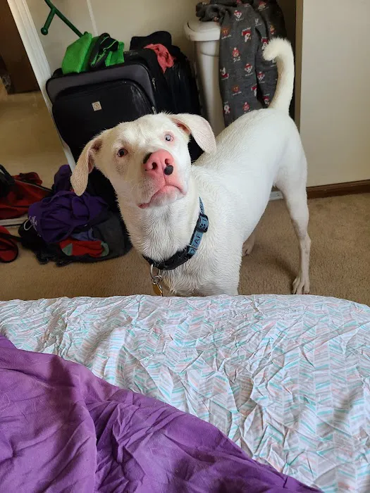 Coffey County Veterinary Services Picture 3