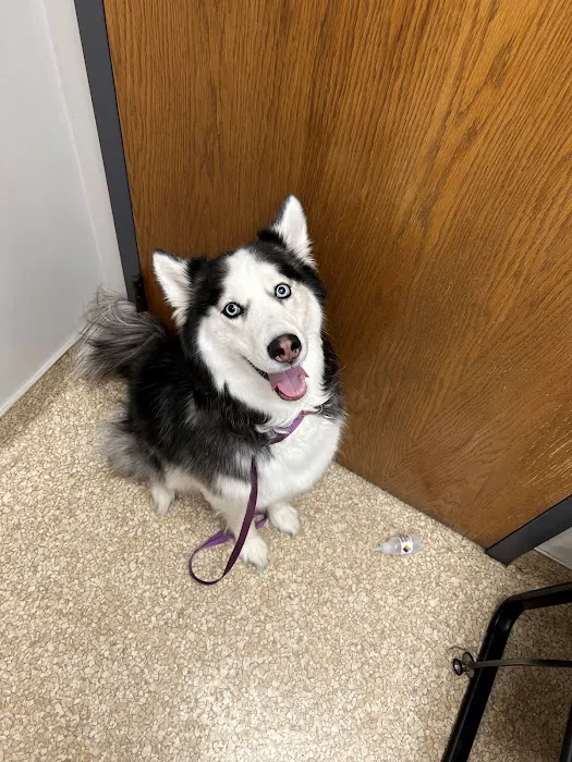 Candlewood Veterinary Clinic Picture 1