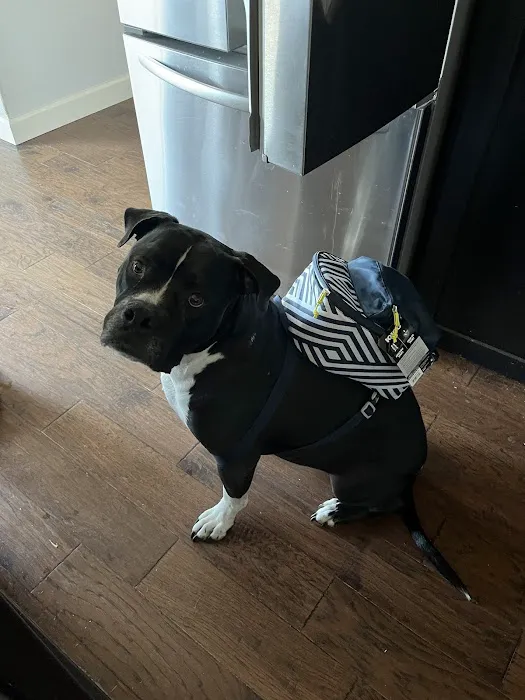 Candlewood Veterinary Clinic Picture 4