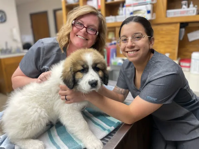 Candlewood Veterinary Clinic Picture 7