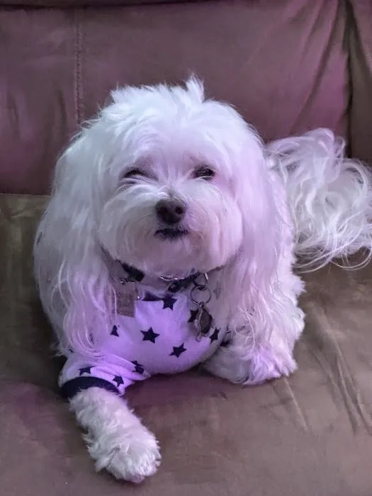 Candlewood Veterinary Clinic Picture 5