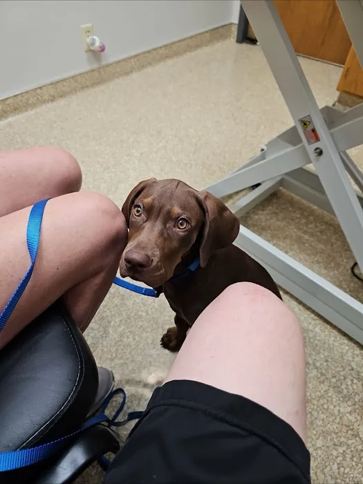 Candlewood Veterinary Clinic Picture 9