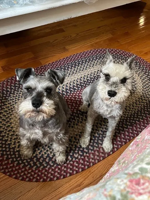 Deep Well Veterinary Services Picture 2