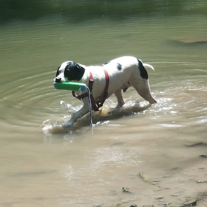 Deep Well Veterinary Services Picture 4