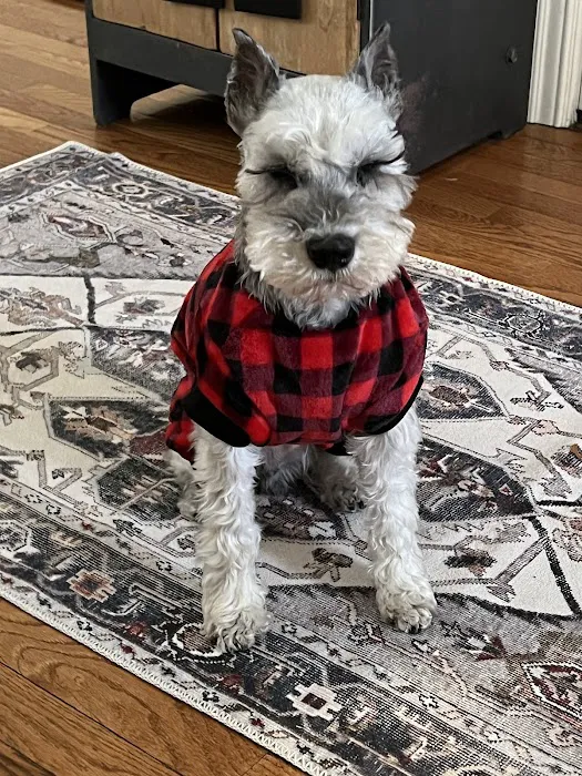 Deep Well Veterinary Services Picture 6