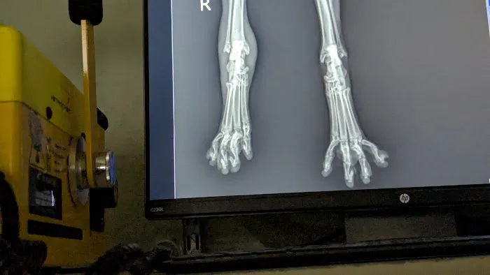 Deep Well Veterinary Services Picture 5