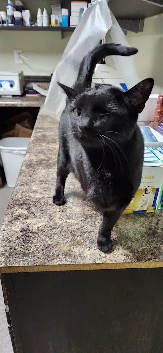 Deep Well Veterinary Services Picture 9