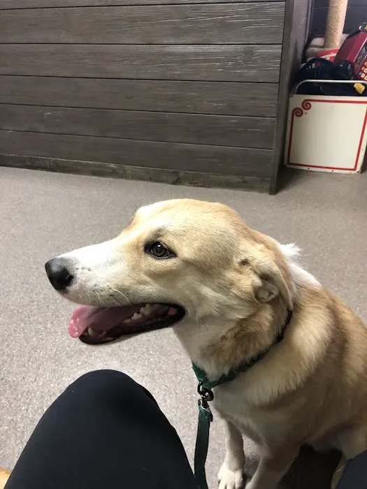 Deep Well Veterinary Services Picture 10