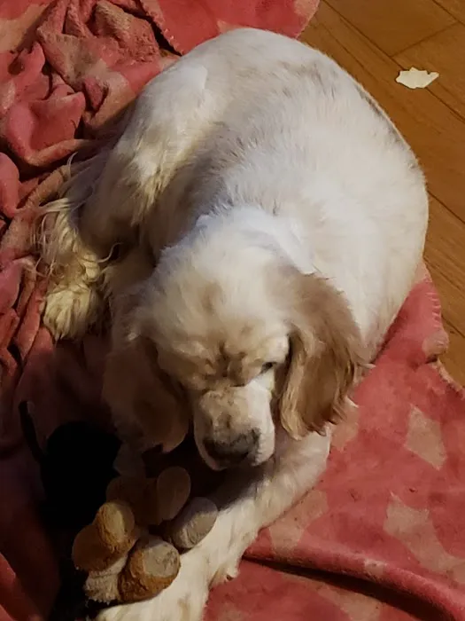 Prairie Valley Vet Clinic Picture 2