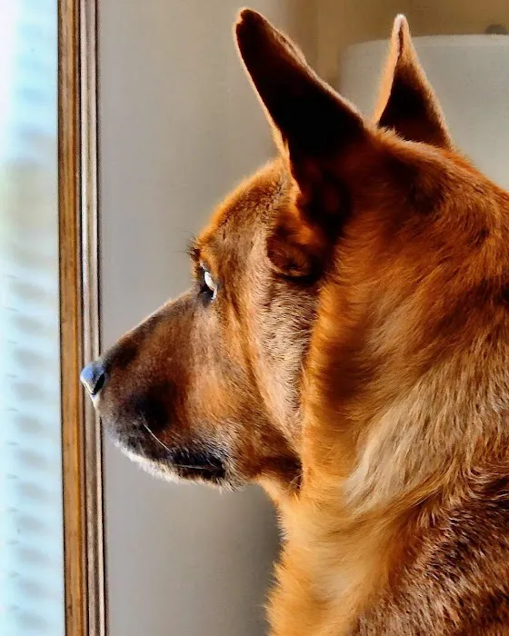 Prairie Valley Vet Clinic Picture 4