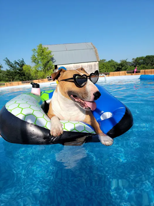 Prairie Valley Vet Clinic Picture 3