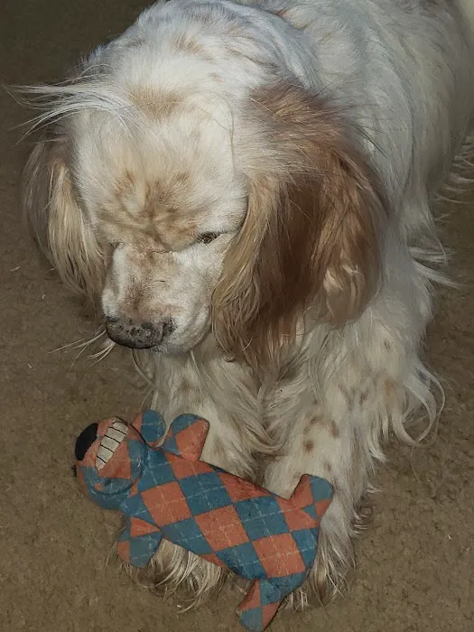 Prairie Valley Vet Clinic Picture 6