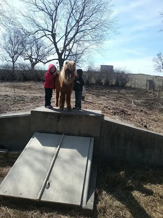 Prairie Valley Vet Clinic Picture 9