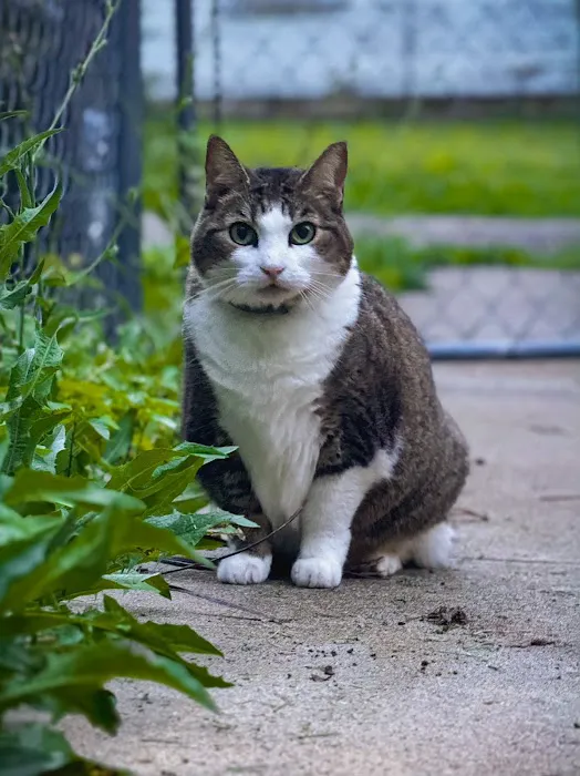Pony Express Veterinary Clinic Picture 1