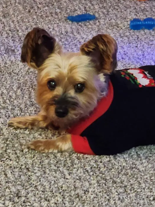 Blue River Veterinary Clinic Picture 4