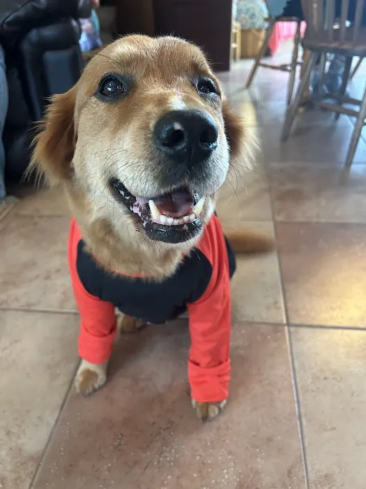 Blue River Veterinary Clinic Picture 2