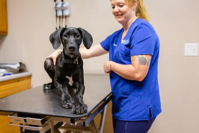 Blue River Veterinary Clinic Picture 5