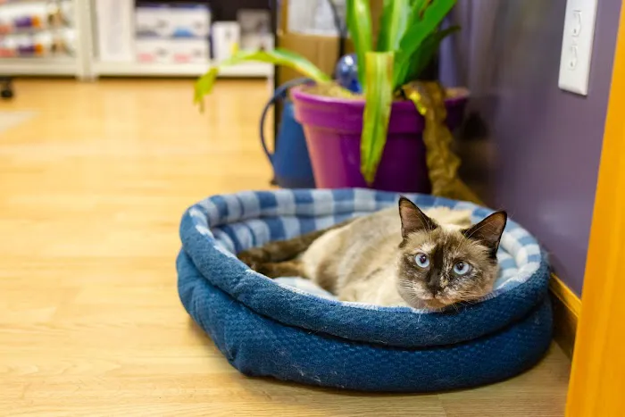 Blue River Veterinary Clinic Picture 6