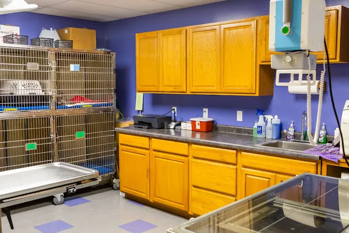 Blue River Veterinary Clinic Picture 10