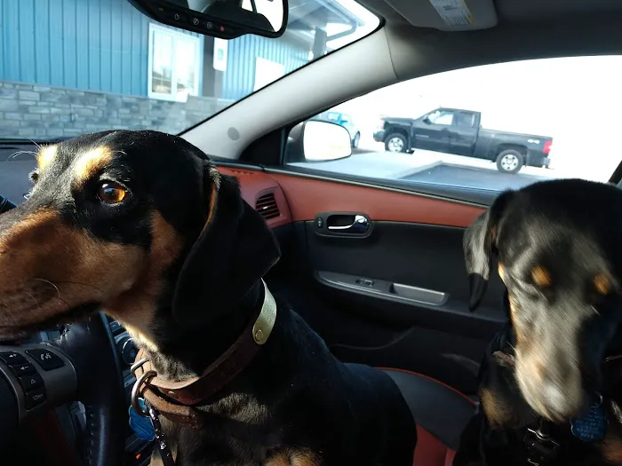 Christian County Vet Picture 3