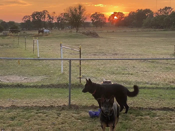 Christian County Vet Picture 4