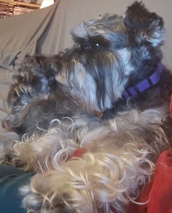 Christian County Vet Picture 10