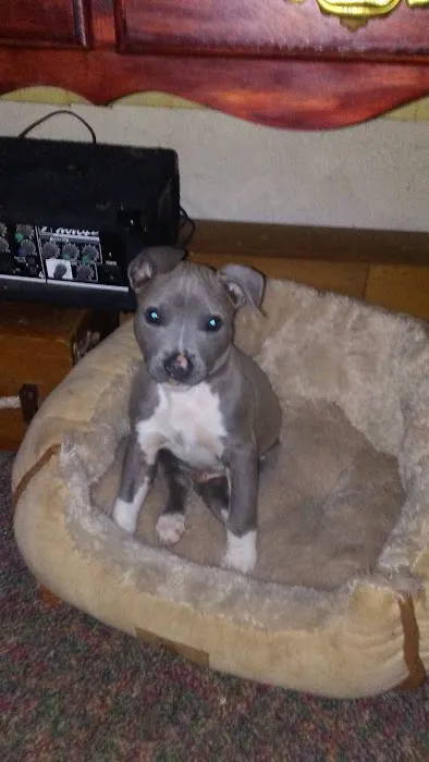 Christian County Vet Picture 8