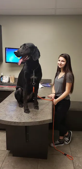 Christian County Vet Picture 7