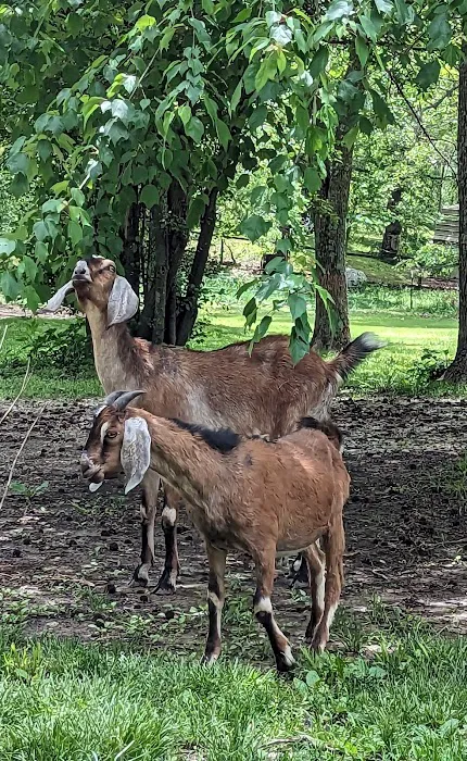 Davis Veterinary Clinic Picture 2