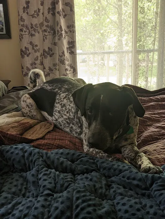 Davis Veterinary Clinic Picture 3