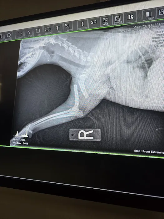 Davis Veterinary Clinic Picture 6